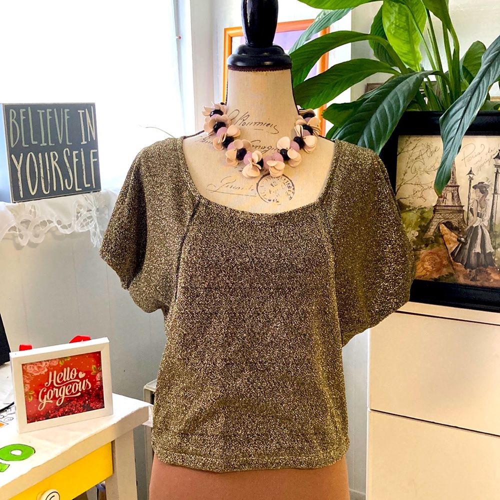Black & gold shimmery top! Has some stretch.